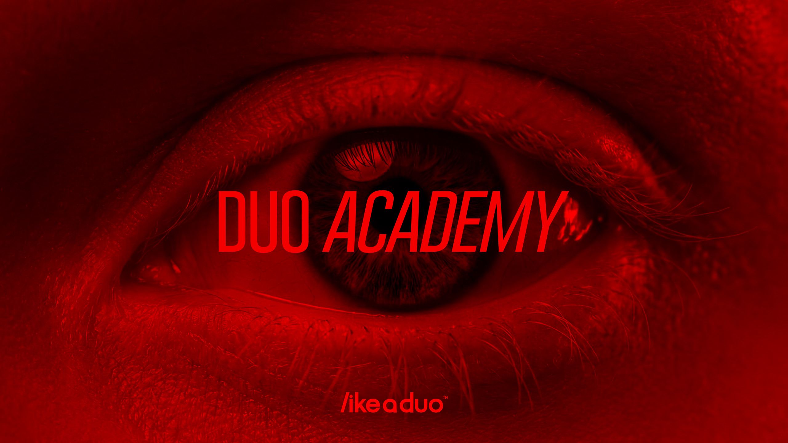 Duo Academy, da Like a Duo